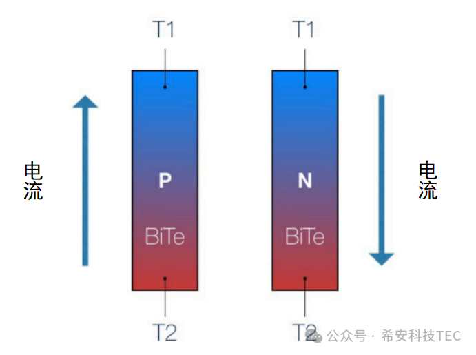 TEC কিভাবে কাজ করে?