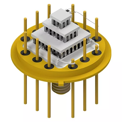 পেল্টিয়ার সমাবেশ